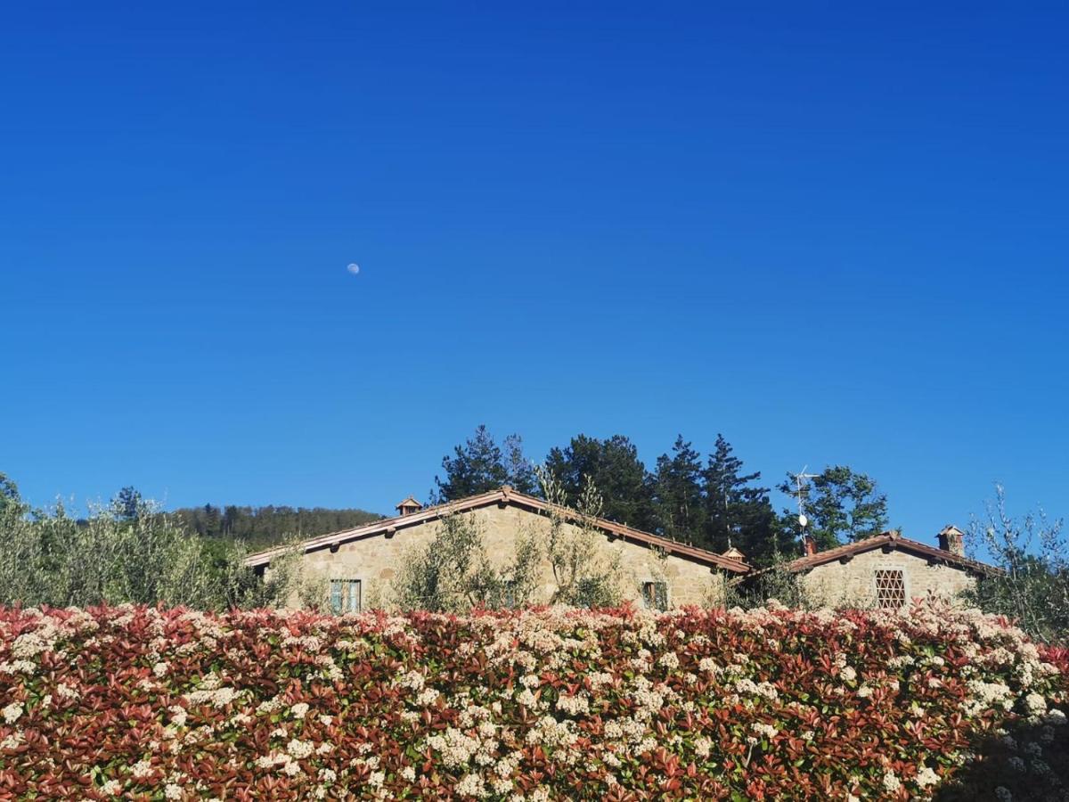 펠라고 Il Cerro 게스트하우스 외부 사진